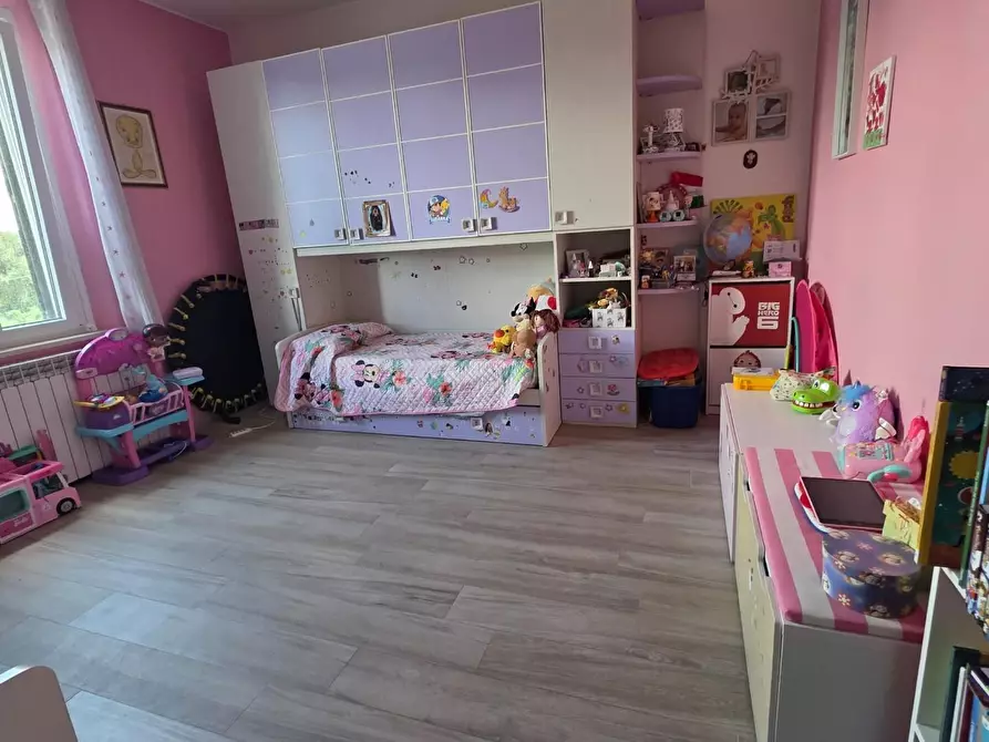 Immagine 18 di Appartamento in vendita  a Pontedera
