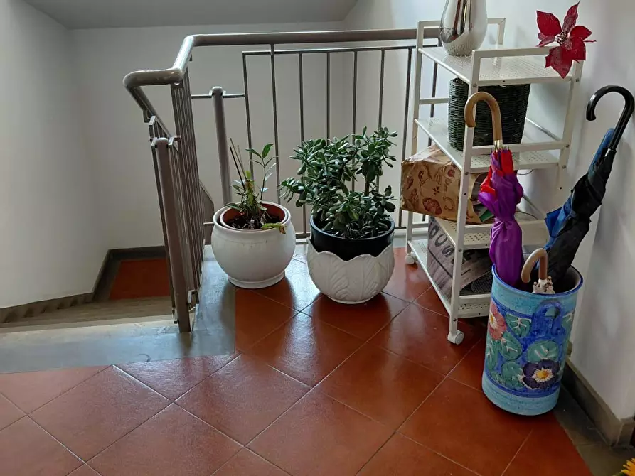 Immagine 33 di Appartamento in vendita  a Pisa