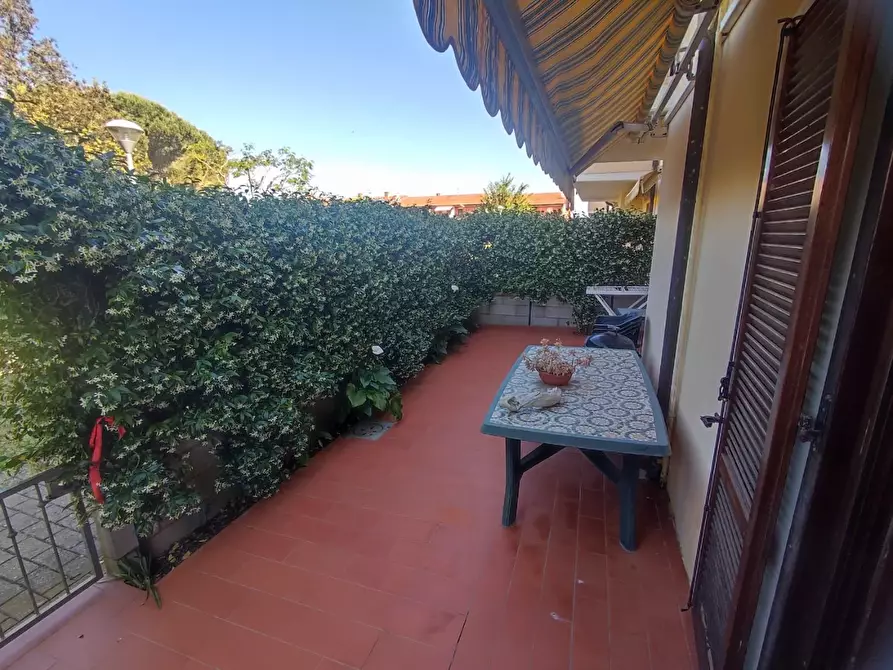 Immagine 17 di Villetta a schiera in vendita  a Terricciola