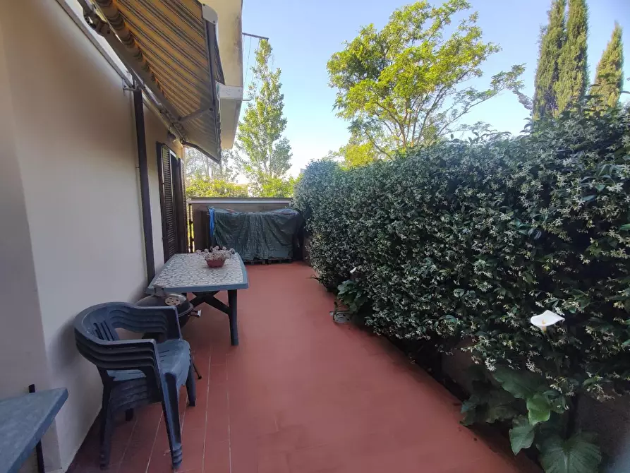 Immagine 16 di Villetta a schiera in vendita  a Terricciola