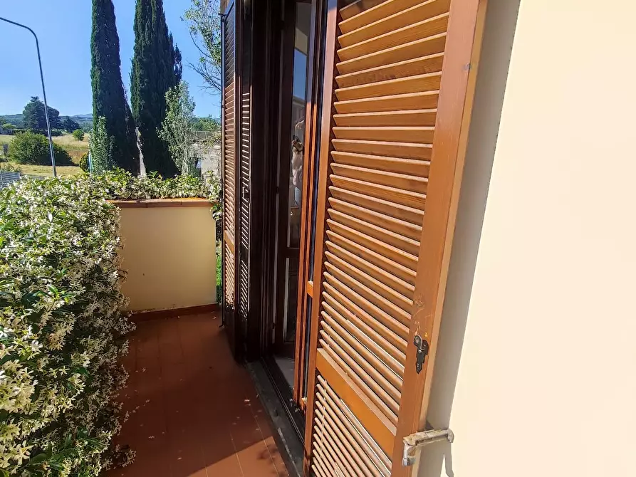 Immagine 25 di Villetta a schiera in vendita  a Terricciola