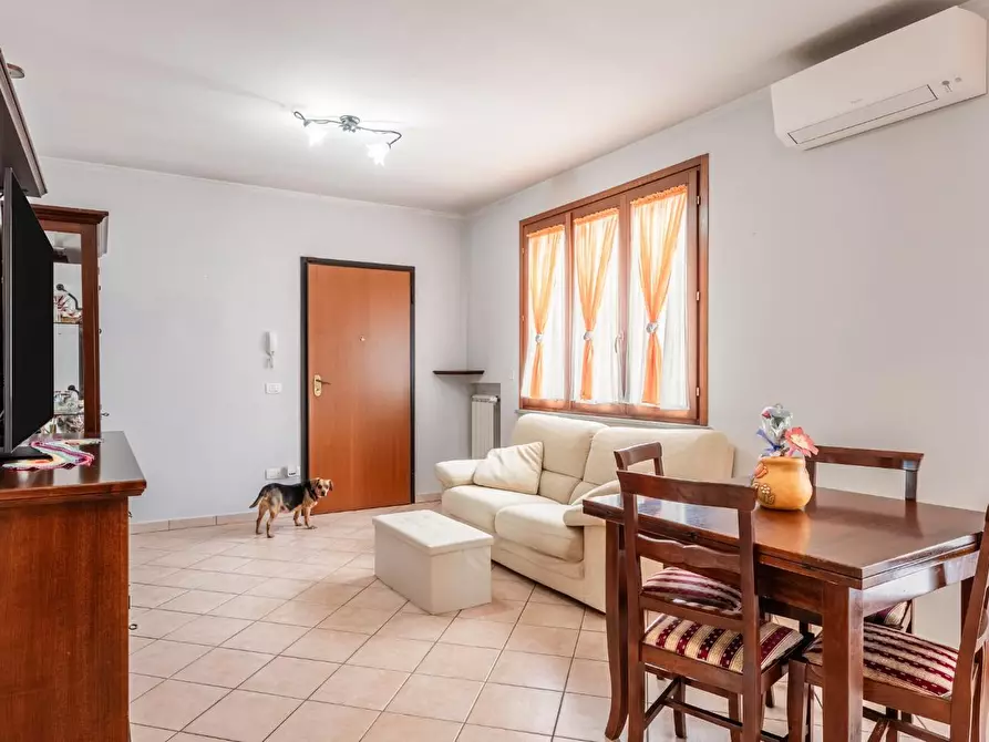 Immagine 4 di Appartamento in vendita  a Calcinaia