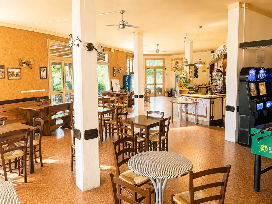 Immagine 6 di Bar / Ristorante in vendita  a Capannoli