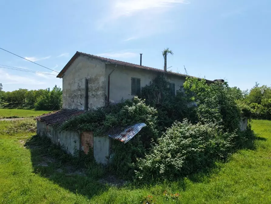 Immagine 2 di Rustico / casale in vendita  a Pontedera