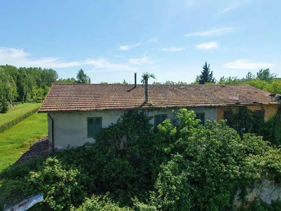 Immagine 4 di Rustico / casale in vendita  a Pontedera