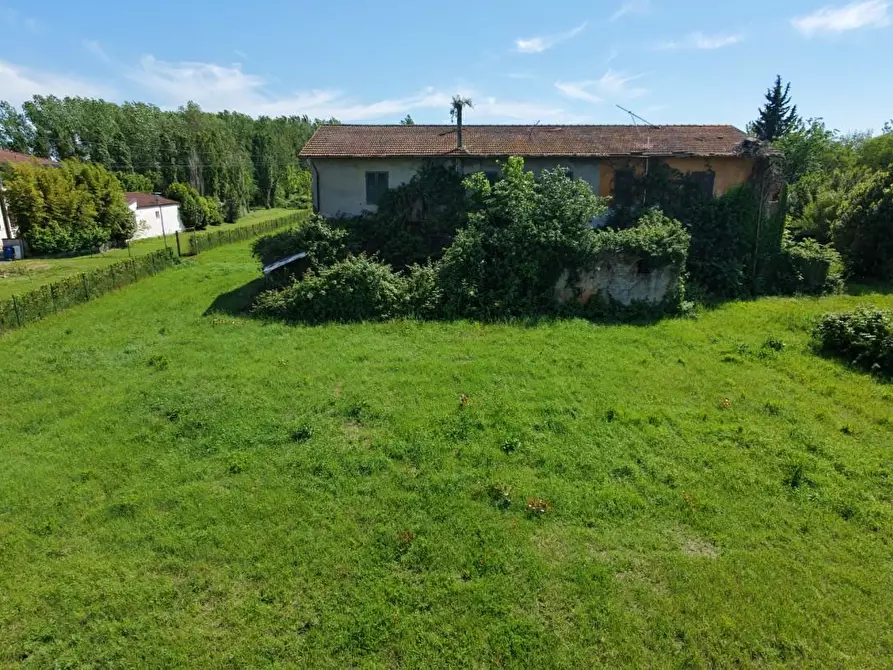 Immagine 9 di Rustico / casale in vendita  a Pontedera