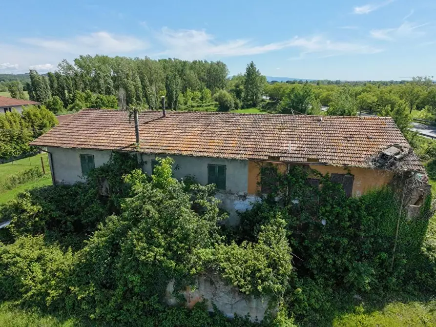 Immagine 5 di Rustico / casale in vendita  a Pontedera