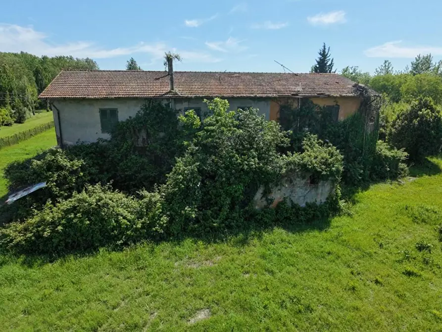 Immagine 10 di Rustico / casale in vendita  a Pontedera