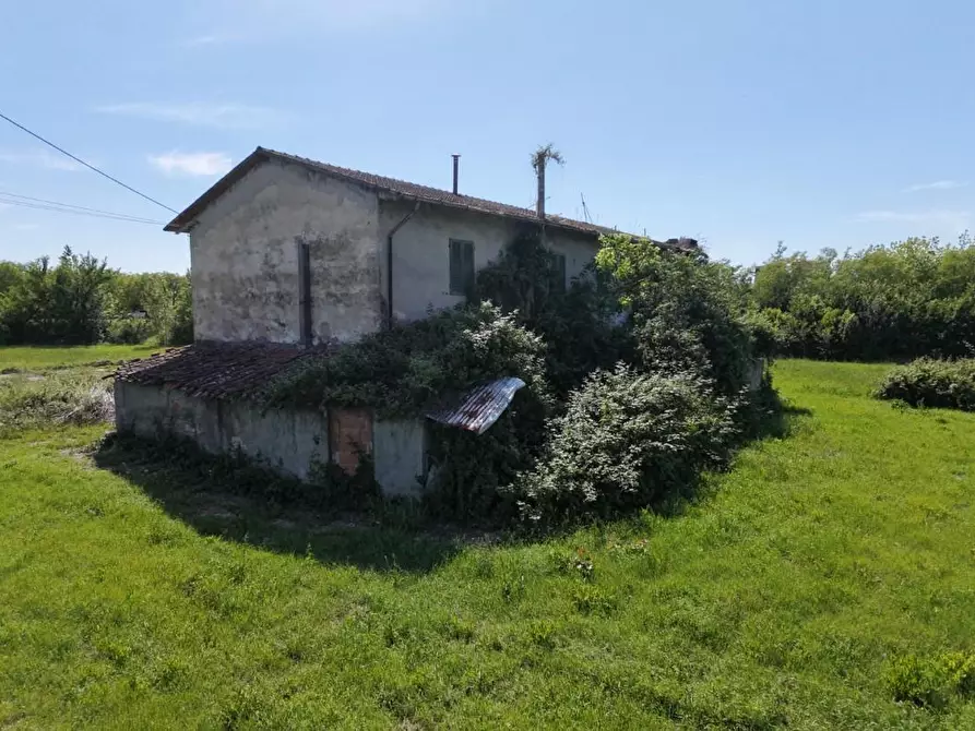 Immagine 11 di Rustico / casale in vendita  a Pontedera