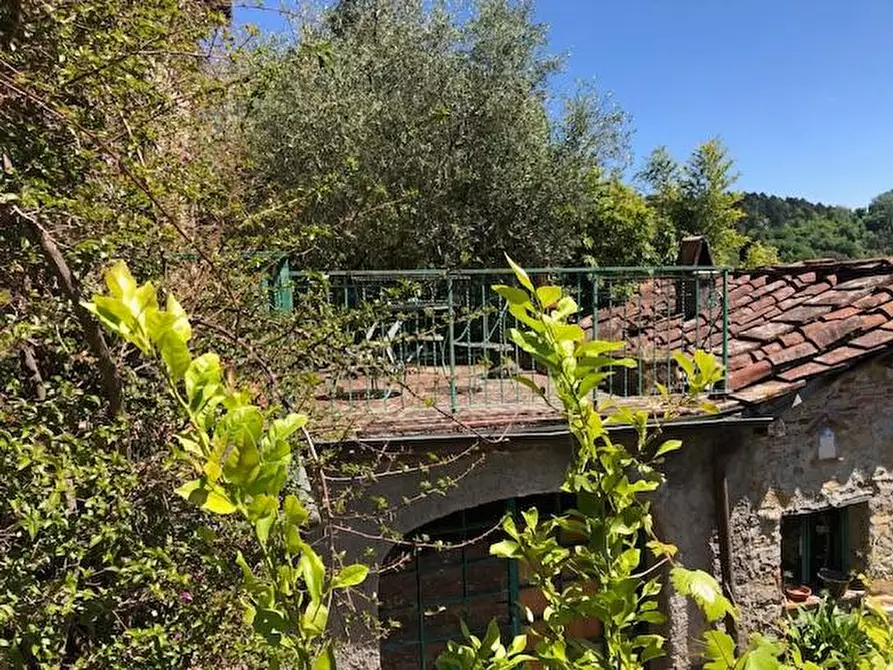 Immagine 12 di Casa colonica in vendita  a Lucca