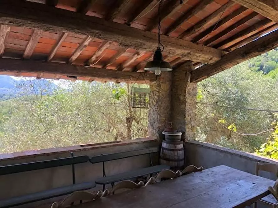 Immagine 7 di Casa colonica in vendita  a Lucca