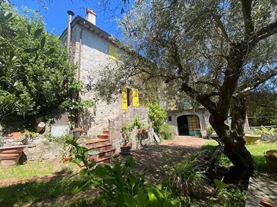 Immagine 17 di Casa colonica in vendita  a Lucca