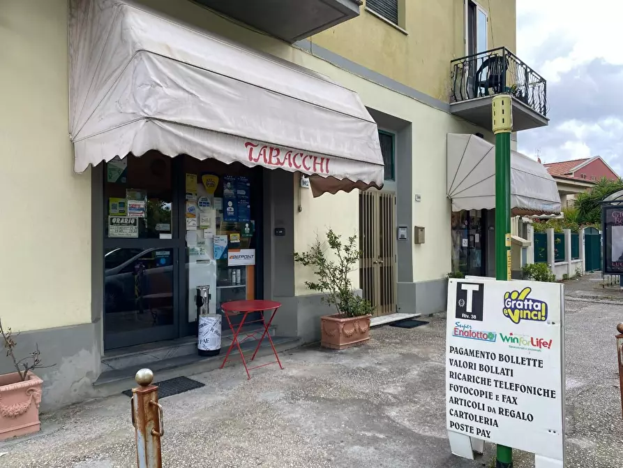 Immagine 1 di Attività commerciale in vendita  a Pisa