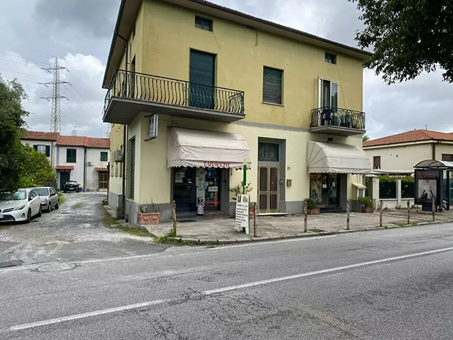 Immagine 9 di Attività commerciale in vendita  a Pisa