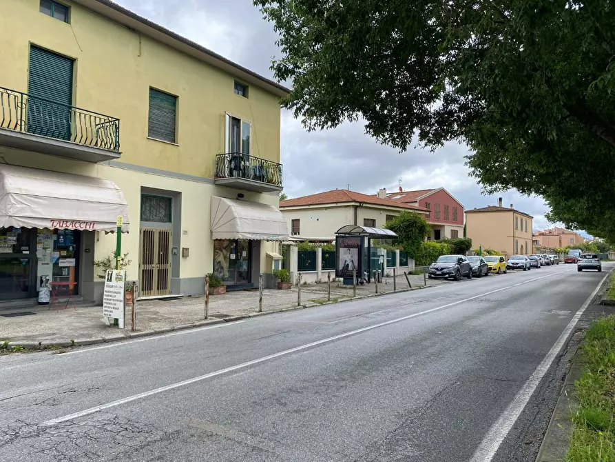 Immagine 7 di Attività commerciale in vendita  a Pisa