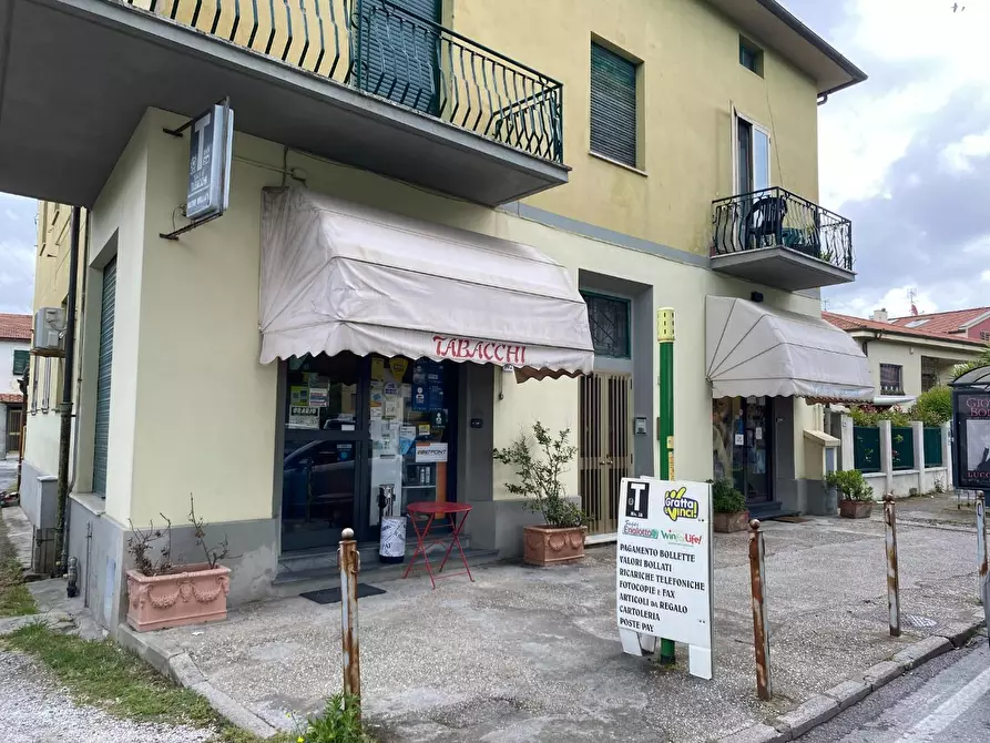Immagine 4 di Attività commerciale in vendita  a Pisa