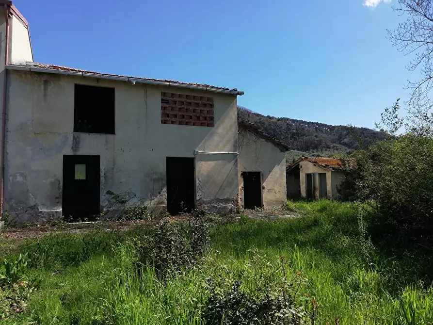 Immagine 2 di Rustico / casale in vendita  a Massarosa