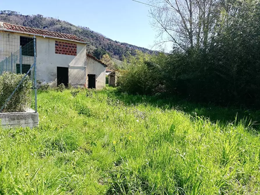 Immagine 6 di Rustico / casale in vendita  a Massarosa