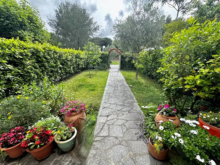 Immagine 1 di Terratetto in vendita  a Pisa