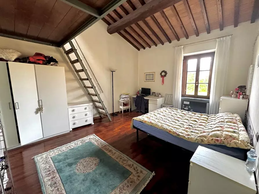 Immagine 9 di Terratetto in vendita  a Pisa