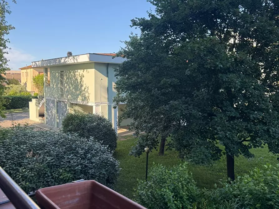 Immagine 15 di Appartamento in vendita  a Pontedera