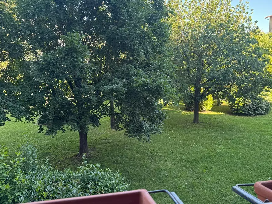 Immagine 3 di Appartamento in vendita  a Pontedera