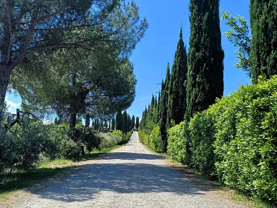 Immagine 2 di Villa in vendita  a Cerreto Guidi