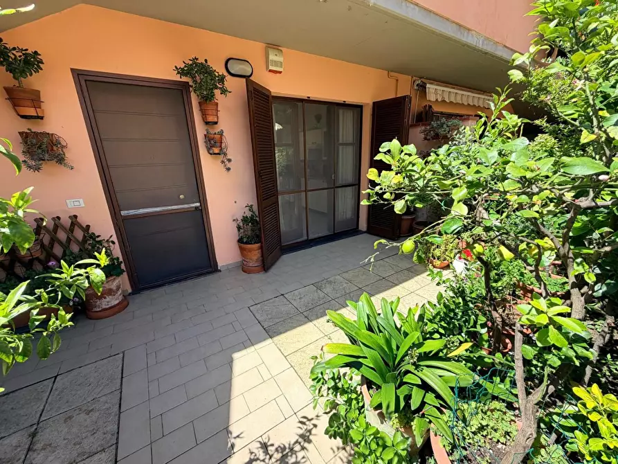 Immagine 17 di Casa bifamiliare in vendita  a Calci