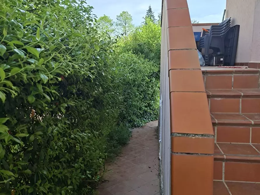 Immagine 2 di Casa trifamiliare in affitto  a Castelnuovo Magra