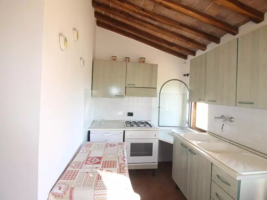 Immagine 6 di Casa colonica in vendita  a Casole D'elsa