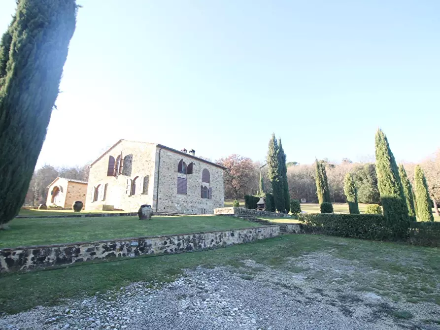 Immagine 36 di Casa colonica in vendita  a Casole D'elsa