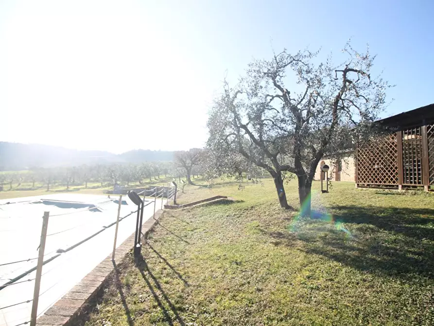 Immagine 43 di Casa colonica in vendita  a Casole D'elsa