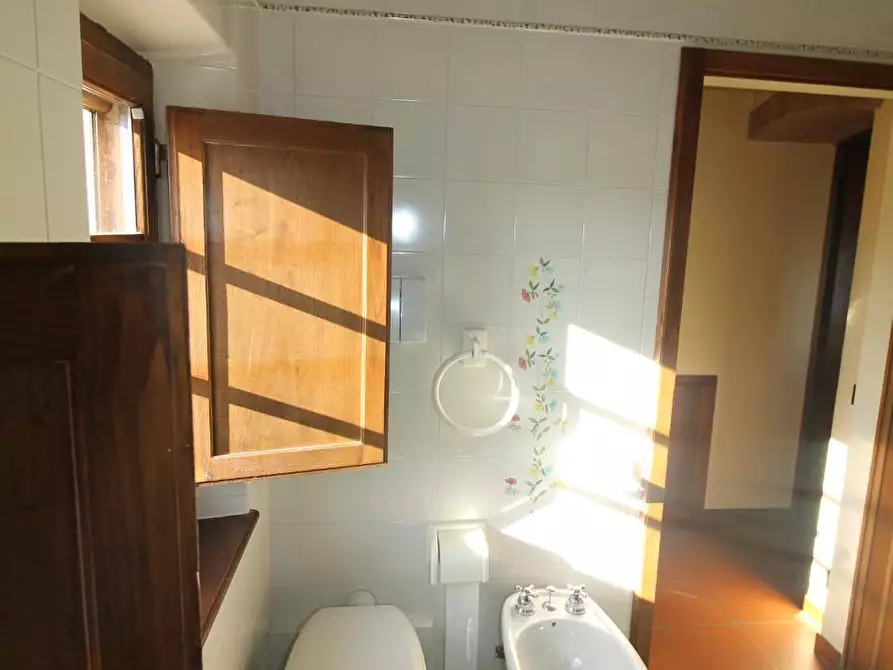 Immagine 24 di Casa colonica in vendita  a Casole D'elsa