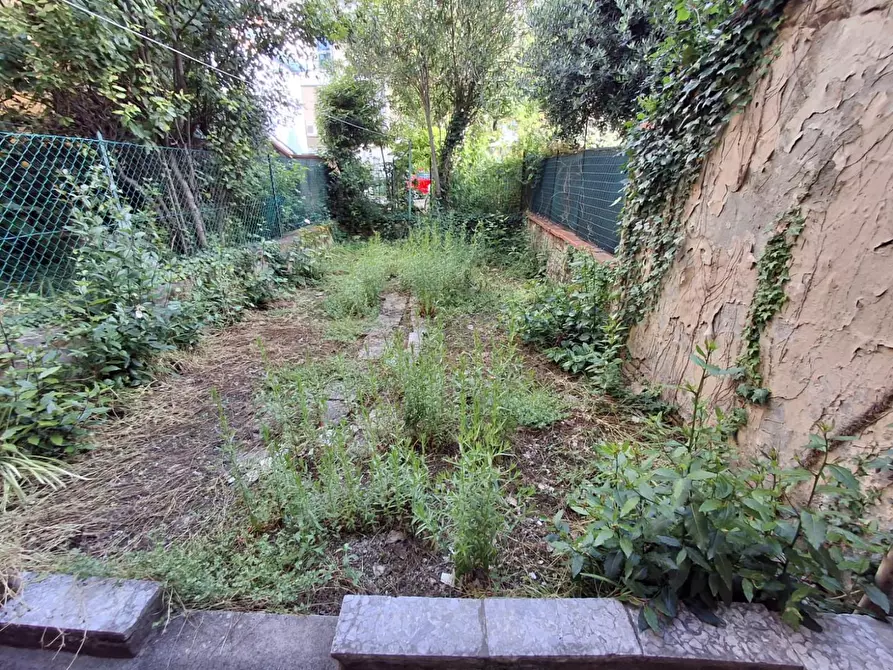 Immagine 19 di Terratetto in vendita  a Empoli