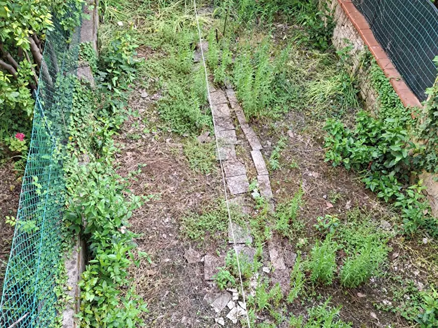 Immagine 6 di Terratetto in vendita  a Empoli