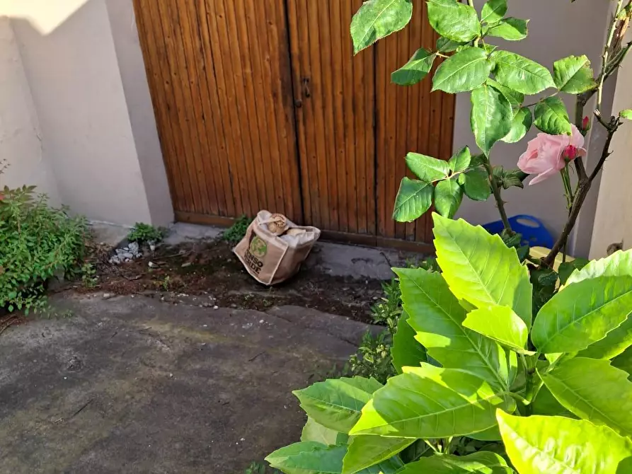 Immagine 21 di Terratetto in vendita  a Empoli