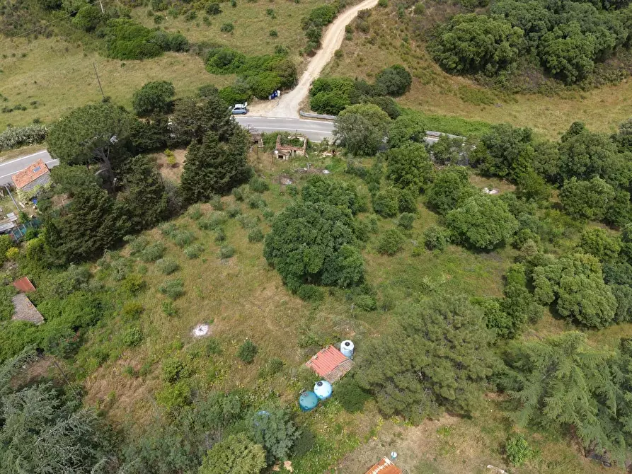 Immagine 11 di Casa indipendente in vendita  a Luogosanto