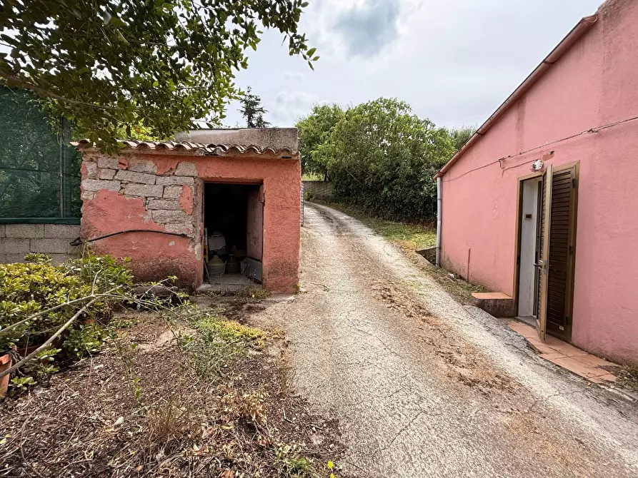 Immagine 39 di Casa indipendente in vendita  a Luogosanto