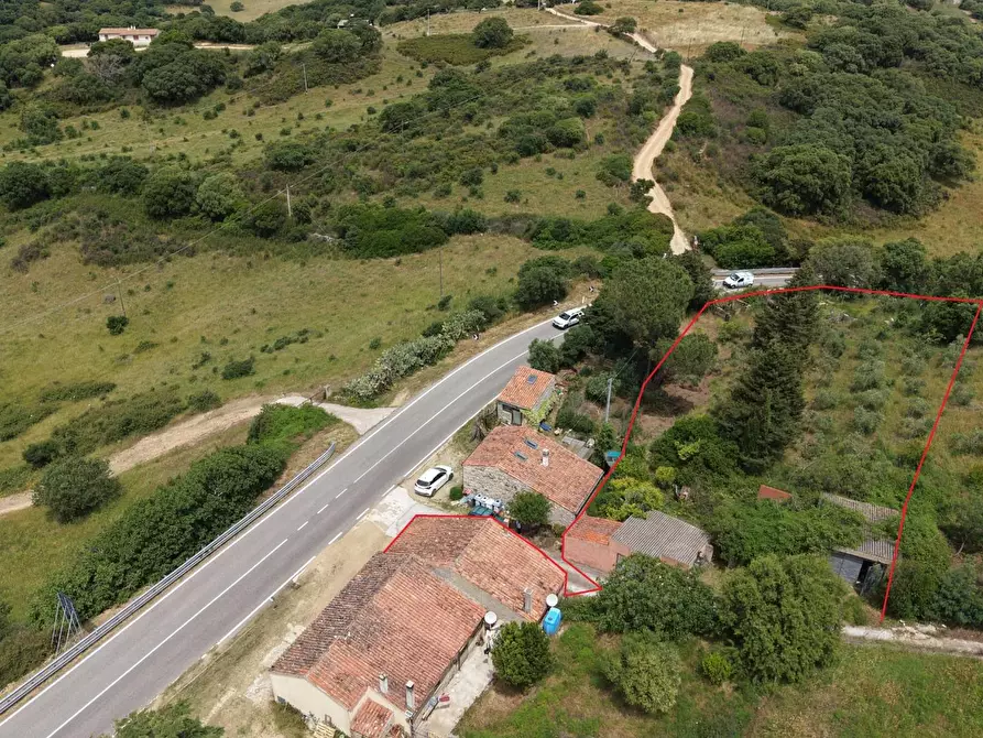 Immagine 3 di Casa indipendente in vendita  a Luogosanto