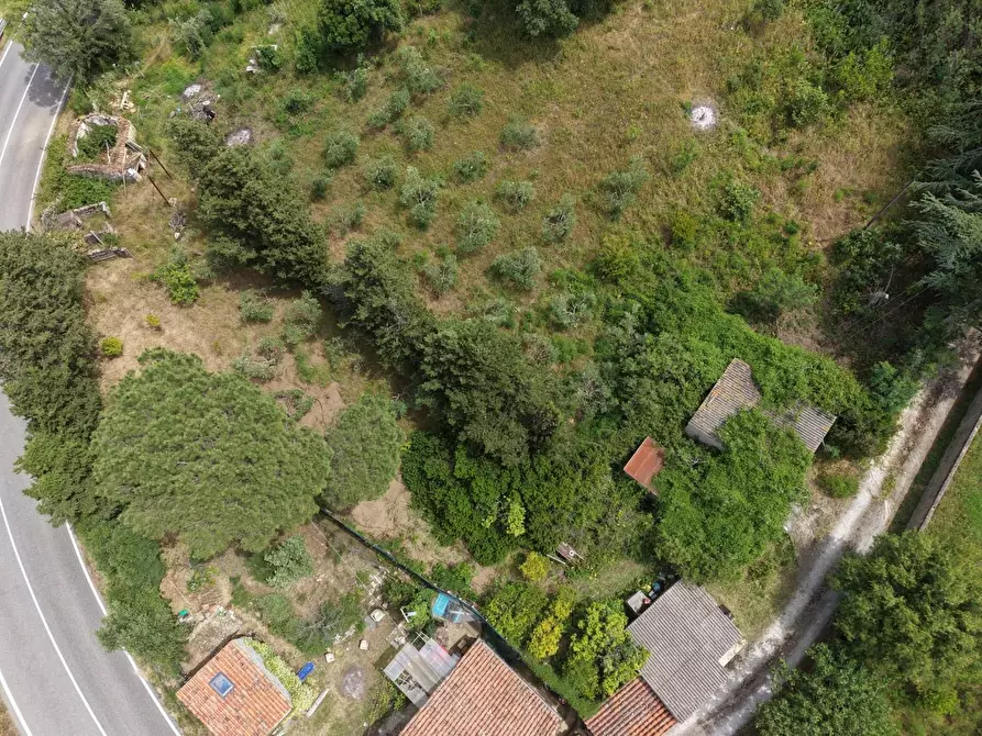 Immagine 9 di Casa indipendente in vendita  a Luogosanto