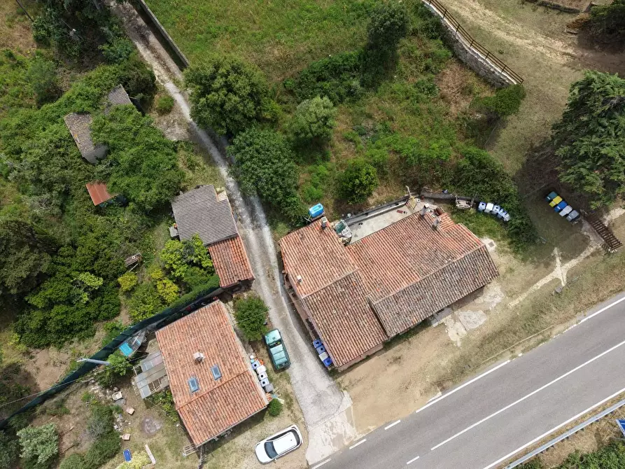 Immagine 2 di Casa indipendente in vendita  a Luogosanto