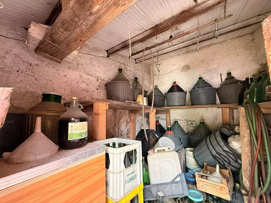 Immagine 48 di Casa indipendente in vendita  a Luogosanto