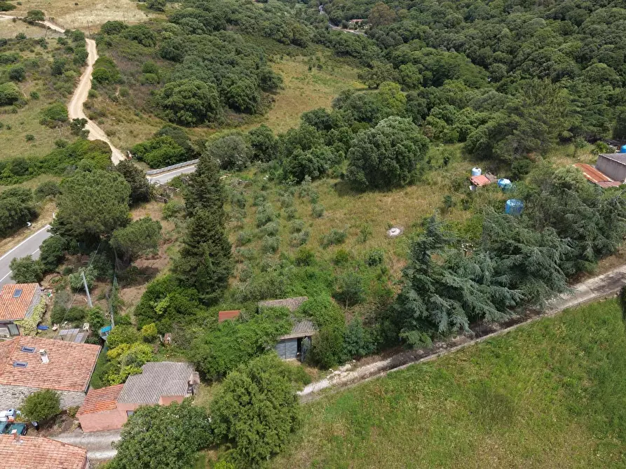 Immagine 12 di Casa indipendente in vendita  a Luogosanto
