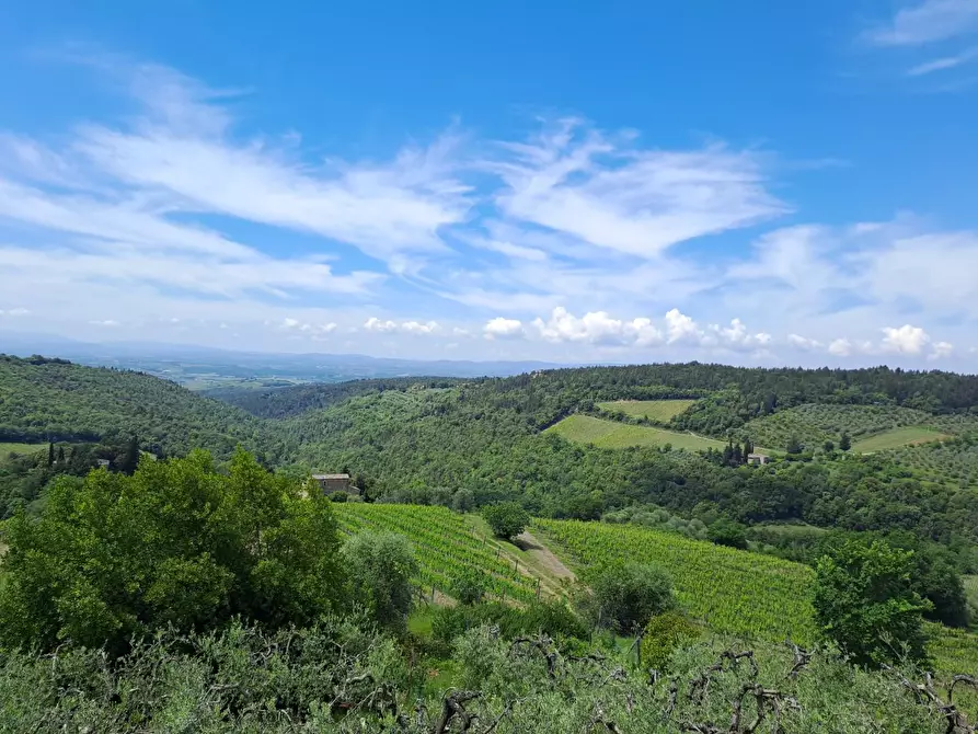 Immagine 18 di Appartamento in vendita  a Castellina In Chianti