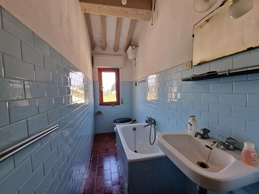 Immagine 53 di Terratetto in vendita  a Casciana Terme Lari