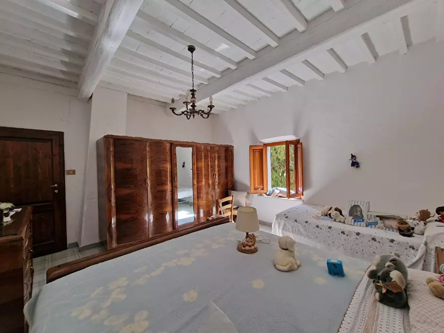 Immagine 25 di Terratetto in vendita  a Casciana Terme Lari