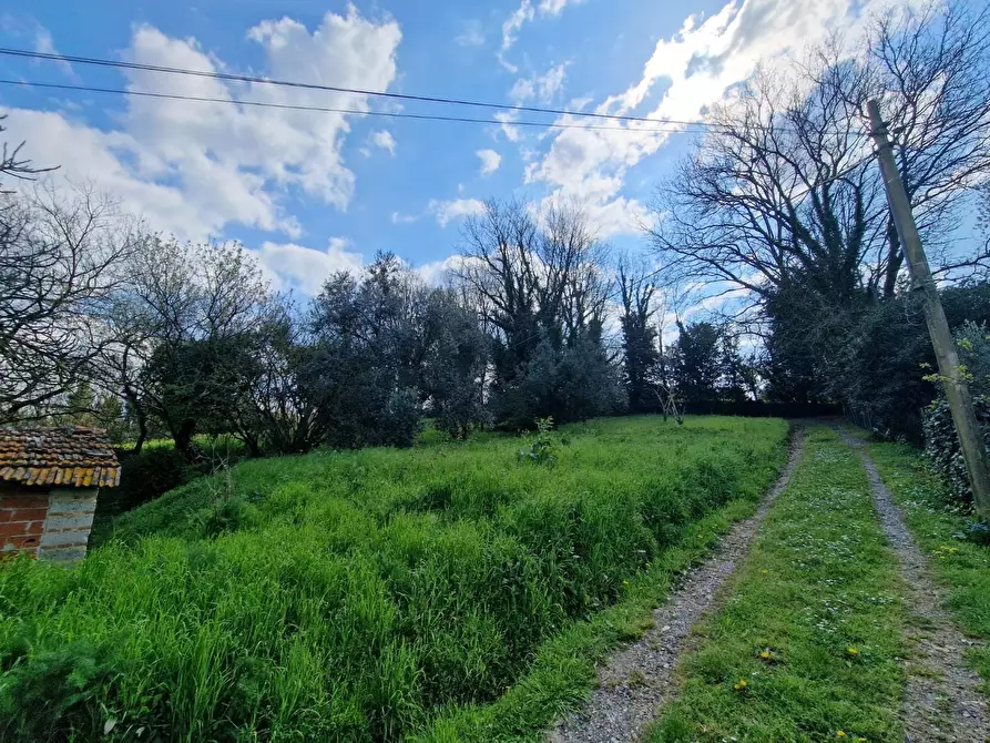 Immagine 16 di Terratetto in vendita  a Casciana Terme Lari
