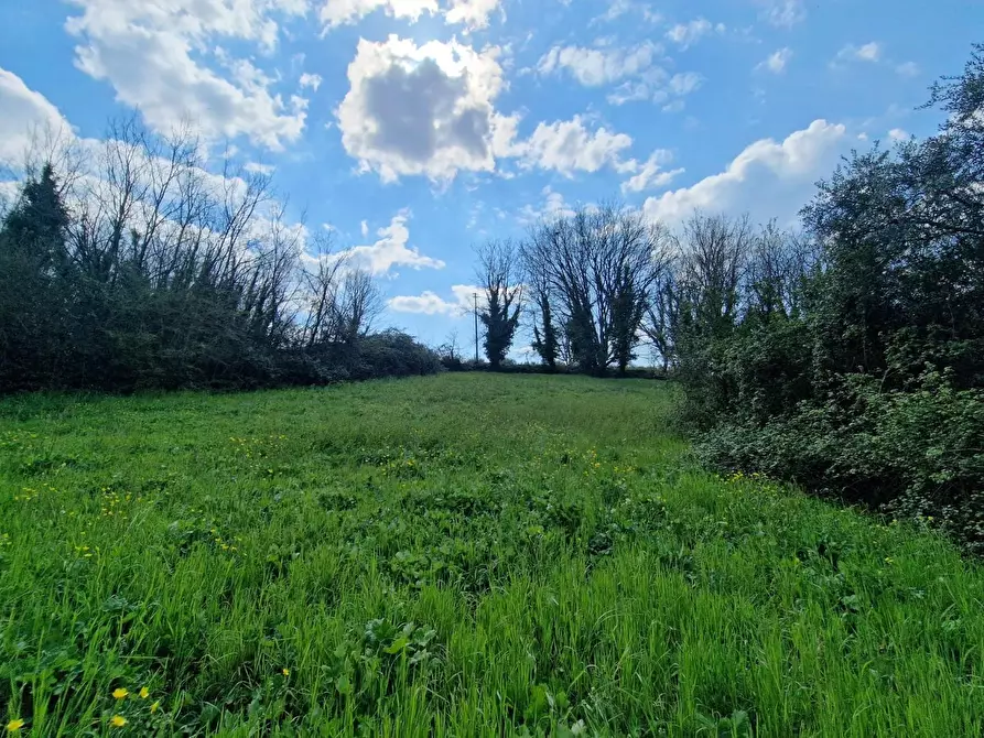 Immagine 10 di Terratetto in vendita  a Casciana Terme Lari