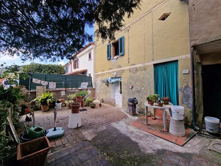 Immagine 38 di Terratetto in vendita  a Casciana Terme Lari