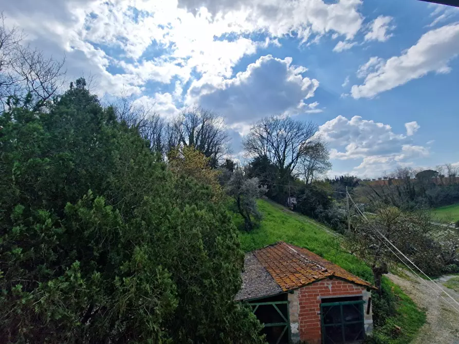 Immagine 32 di Terratetto in vendita  a Casciana Terme Lari
